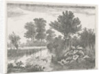 Ducks in a ditch by Hermanus Jan Hendrik van Rijkelijkhuysen