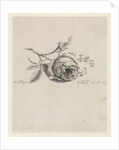 A rose and forget-me-nots by Elisabeth Johanna Koning