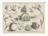 Animals, plants and fruits around a snail by Christoph Weigel
