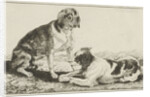 Two resting dogs by Jan van den Hecke I