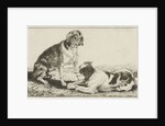 Two resting dogs by Jan van den Hecke I