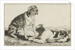 Two resting dogs by Jan van den Hecke I