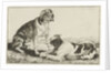 Two resting dogs by Jan van den Hecke I
