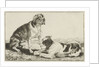 Two resting dogs by Jan van den Hecke I