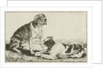 Two resting dogs by Jan van den Hecke I