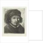 Adult male by Jan Chalon