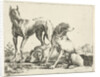 Three dogs by Pauwels van Hillegaert