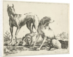 Three dogs by Pauwels van Hillegaert