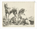 Three dogs by Pauwels van Hillegaert
