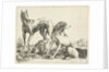 Three dogs by Pauwels van Hillegaert