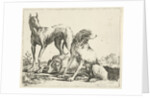 Three dogs by Pauwels van Hillegaert