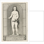 Niche with the statue of a mermaid by Caspar Jacobsz. Philips