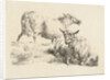 Lying sheep with halter and a standing sheep by Anonymous