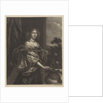 Portrait of a woman with a rose bush by Wallerant Vaillant