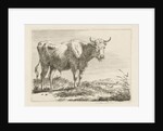 Standing bull by Pieter Gerardus van Os