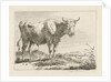 Standing bull by Pieter Gerardus van Os
