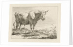 Standing bull by Pieter Gerardus van Os