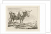 Standing bull by Pieter Gerardus van Os