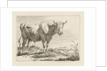 Standing bull by Pieter Gerardus van Os