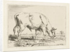 Grazing bull by Pieter Gerardus van Os
