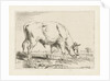 Grazing bull by Pieter Gerardus van Os