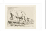 Grazing bull by Pieter Gerardus van Os