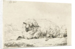 Lying sheep with thick fur by Frédéric Théodore Faber