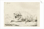 Lying sheep with thick fur by Frédéric Théodore Faber
