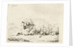 Lying sheep with thick fur by Frédéric Théodore Faber