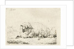Lying sheep with thick fur by Frédéric Théodore Faber