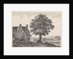Big lime tree for an inn by Anthonie Waterloo
