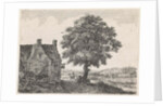 Big lime tree for an inn by Anthonie Waterloo