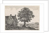 Big lime tree for an inn by Anthonie Waterloo
