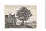 Big lime tree for an inn by Anthonie Waterloo