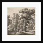 Entrance of the forest, Anthonie Waterloo by Josua & Reinier II Ottens