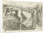 Milkmaid with cow by Jan van Ossenbeeck
