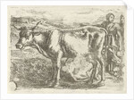 Milkmaid with cow by Jan van Ossenbeeck