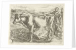 Milkmaid with cow by Jan van Ossenbeeck