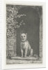 Dog sitting on the doorstep by Christiaan Wilhelmus Moorrees