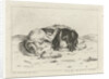 Sleeping dog by Hendrik Godart de Marée