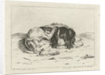 Sleeping dog by Hendrik Godart de Marée