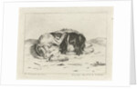 Sleeping dog by Hendrik Godart de Marée