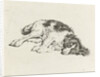 Sleeping dog by Hendrik Godart de Marée