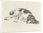 Sleeping dog by Hendrik Godart de Marée