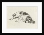 Sleeping dog by Hendrik Godart de Marée
