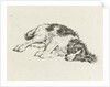 Sleeping dog by Hendrik Godart de Marée