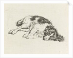 Sleeping dog by Hendrik Godart de Marée