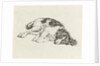 Sleeping dog by Hendrik Godart de Marée