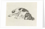 Sleeping dog by Hendrik Godart de Marée