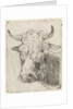 Ox head, left by Pieter Janson